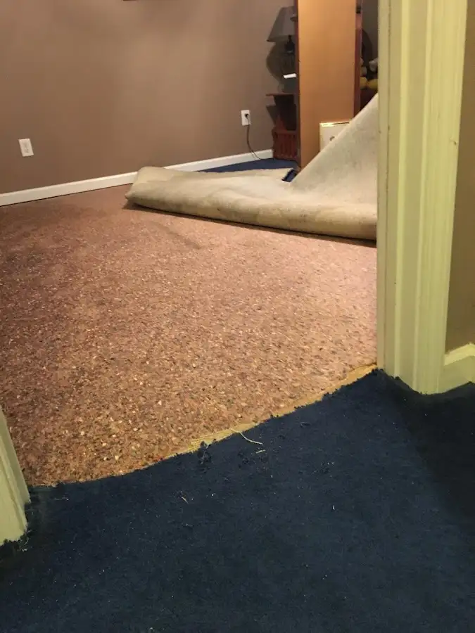 Carpet pad removal revealing water damage during Drying & Dehumidification in Mila Doce