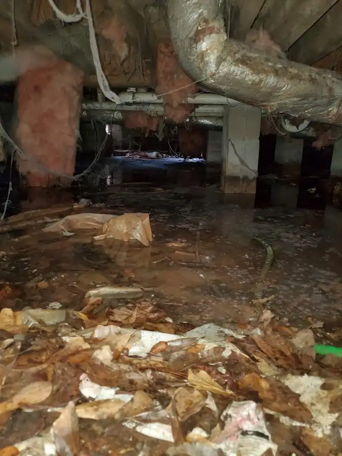 Crawl space flood assessment for Leak Detection & Repair in Mila Doce